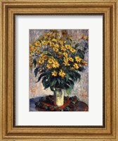 Framed Jerusalem Artichoke Flowers, 1880