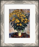 Framed Jerusalem Artichoke Flowers, 1880