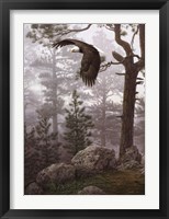 Framed Shrouded Forest (detail)