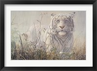Framed Monsoon- White Tiger (detail)
