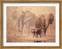 Framed African Elephants and Namaqua Doves