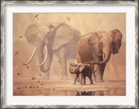 Framed African Elephants and Namaqua Doves
