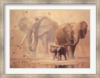 Framed African Elephants and Namaqua Doves