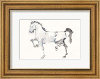 Framed Horse I