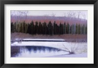 Framed Cedars and Brook - Winter
