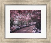 Framed Azalea Walk