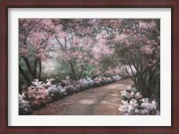 Framed Azalea Walk