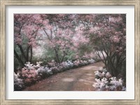 Framed Azalea Walk