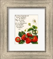 Framed Strawberry