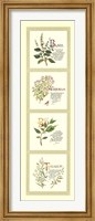 Framed Kitchen Herbs I