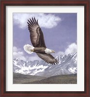 Framed Soaring High