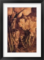 Framed Antique Tulips I