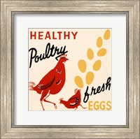 Framed Healthy Poultry-Fresh Eggs