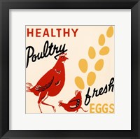 Healthy Poultry-Fresh Eggs Framed Print