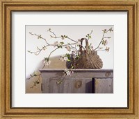 Framed Apple Blossoms