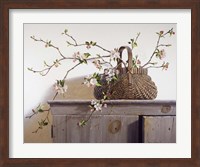 Framed Apple Blossoms