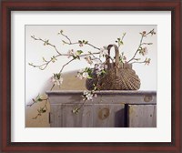 Framed Apple Blossoms