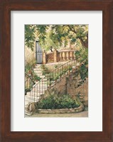 Framed Courtyard in Provence