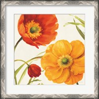 Framed Poppies Melody II