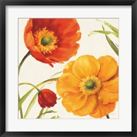 Framed Poppies Melody II