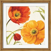 Framed Poppies Melody II