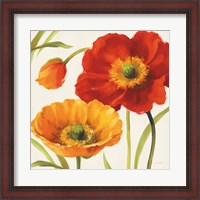 Framed Poppies Melody III