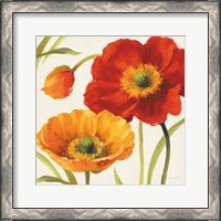 Framed Poppies Melody III