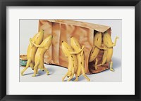 Framed Banana Samba