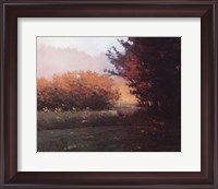 Framed Montlake Hedge