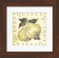 Framed Quince