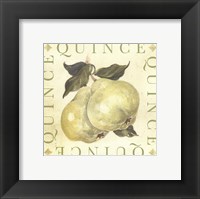 Framed Quince