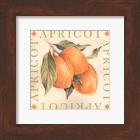 Framed Apricot