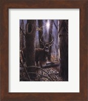 Framed Woodland Sentry