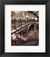 Central Park Bridges III Framed Print