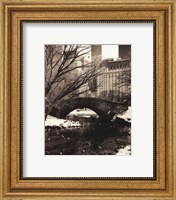 Framed Central Park Bridges IV