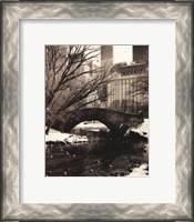 Framed Central Park Bridges IV