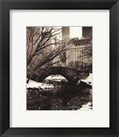 Central Park Bridges IV Framed Print