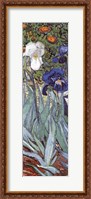 Framed Irises in the Garden, Saint-Remy, c.1889 (detail)