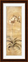 Framed White Orchid Panel