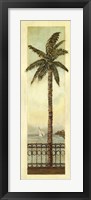 Framed Cayman Palm II