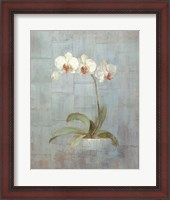 Framed Elegant Orchids II