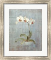 Framed Elegant Orchids II