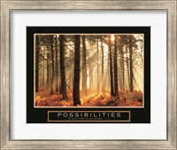 Framed Possibilities-Sunlight