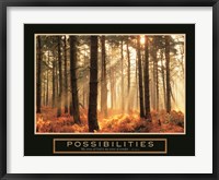 Framed Possibilities-Sunlight