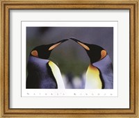 Framed King Penguins