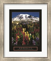 Framed Serenity - Mt. Rainier