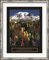 Framed Serenity - Mt. Rainier