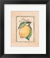 Framed Vintage Lemon