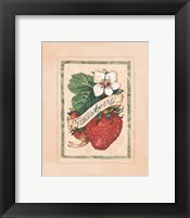 Framed Vintage Strawberry