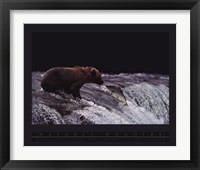 Framed Grizzly Bear and Fish